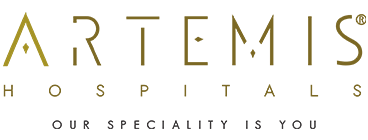 Artemis Logo